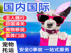 营口兰旗机场快递国际宠物托运 【国